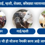 Pashupalan yojana