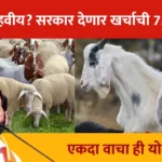 Sheli Mendhi Yojana
