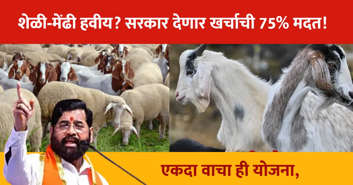 Sheli Mendhi Yojana
