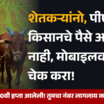 PM Kisan 20th Installment