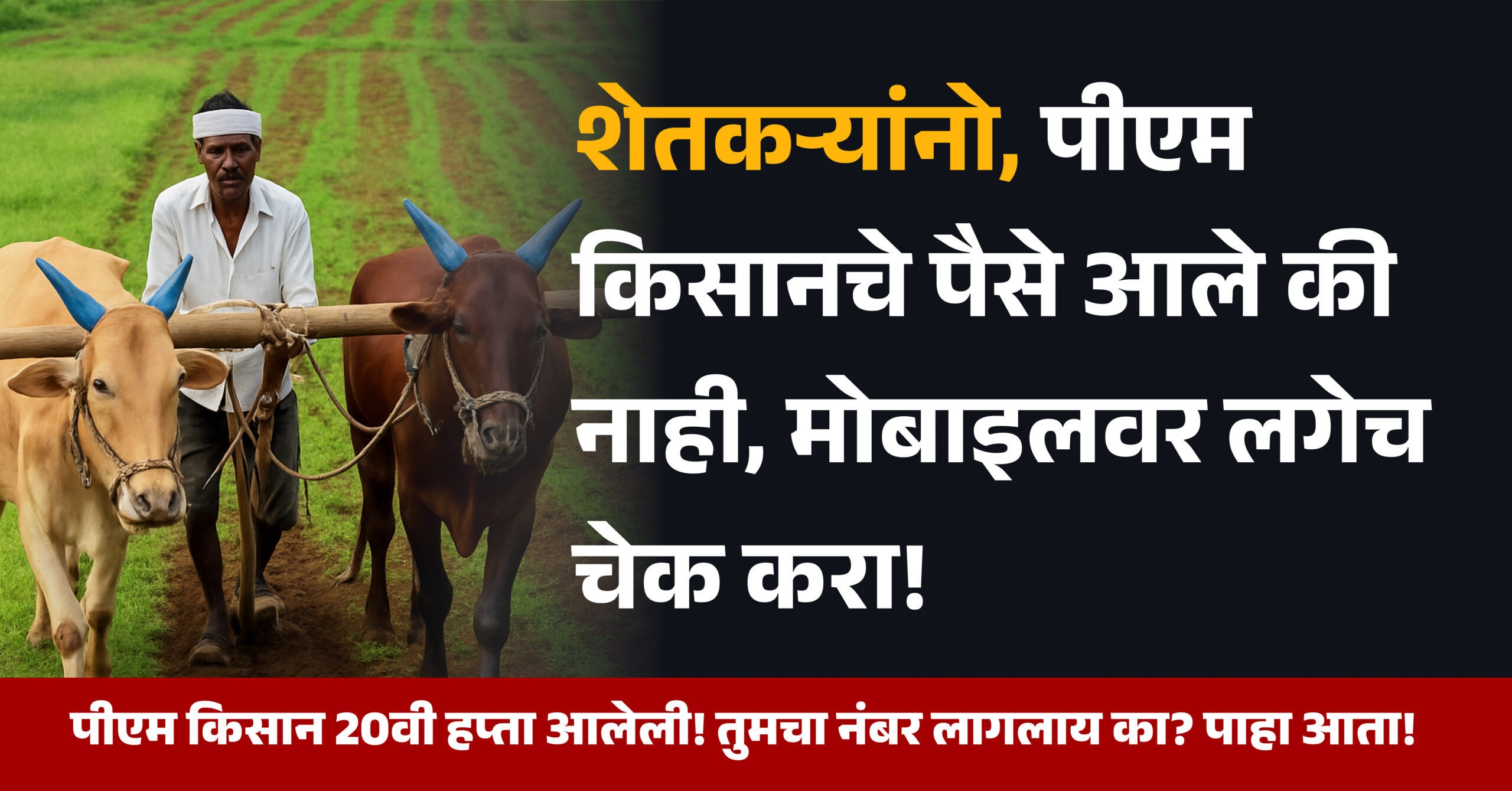 PM Kisan 20th Installment